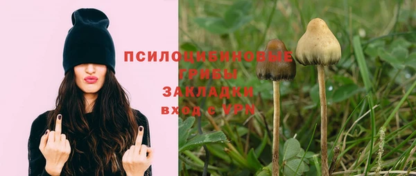 прущая мука Рославль