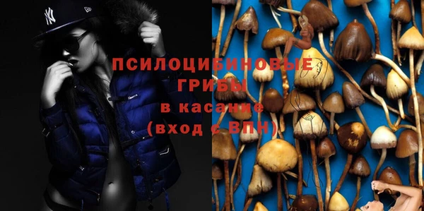 трава Валуйки