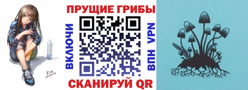 Псилоцибиновые грибы ЛСД  Дербент 