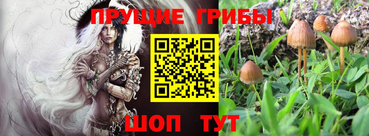 Галлюциногенные грибы GOLDEN TEACHER  Вход с VPN  Дербент 