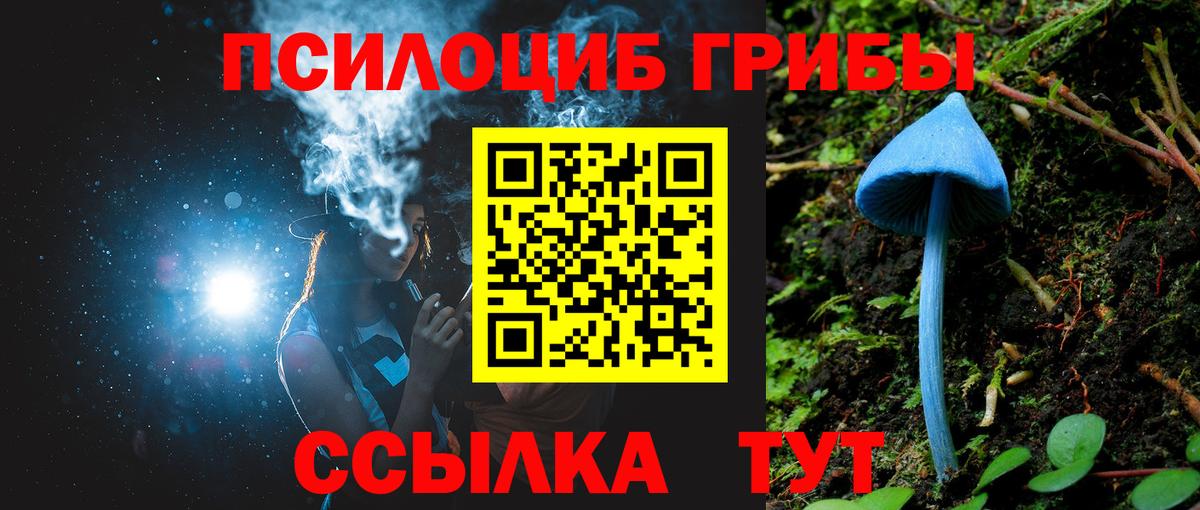 Галлюциногенные грибы MAGIC MUSHROOMS Дербент