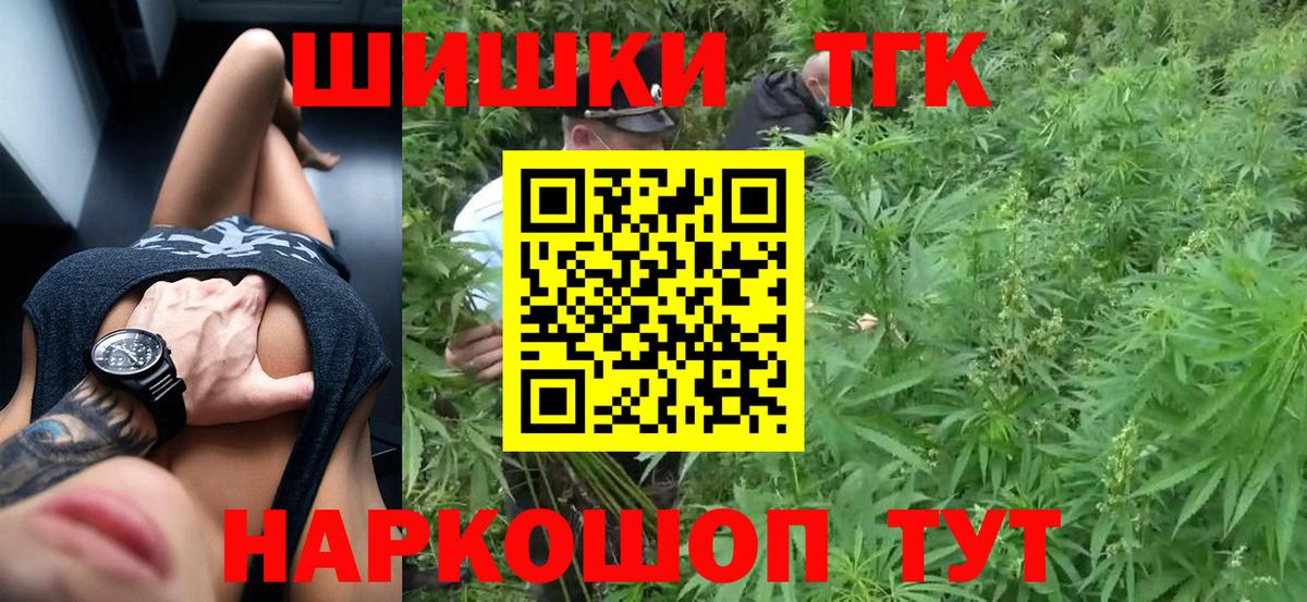 Конопля индика Дербент